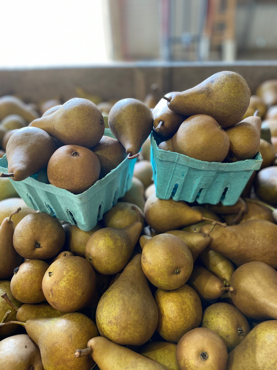 Bosc Pears – Chestnut Supermarket