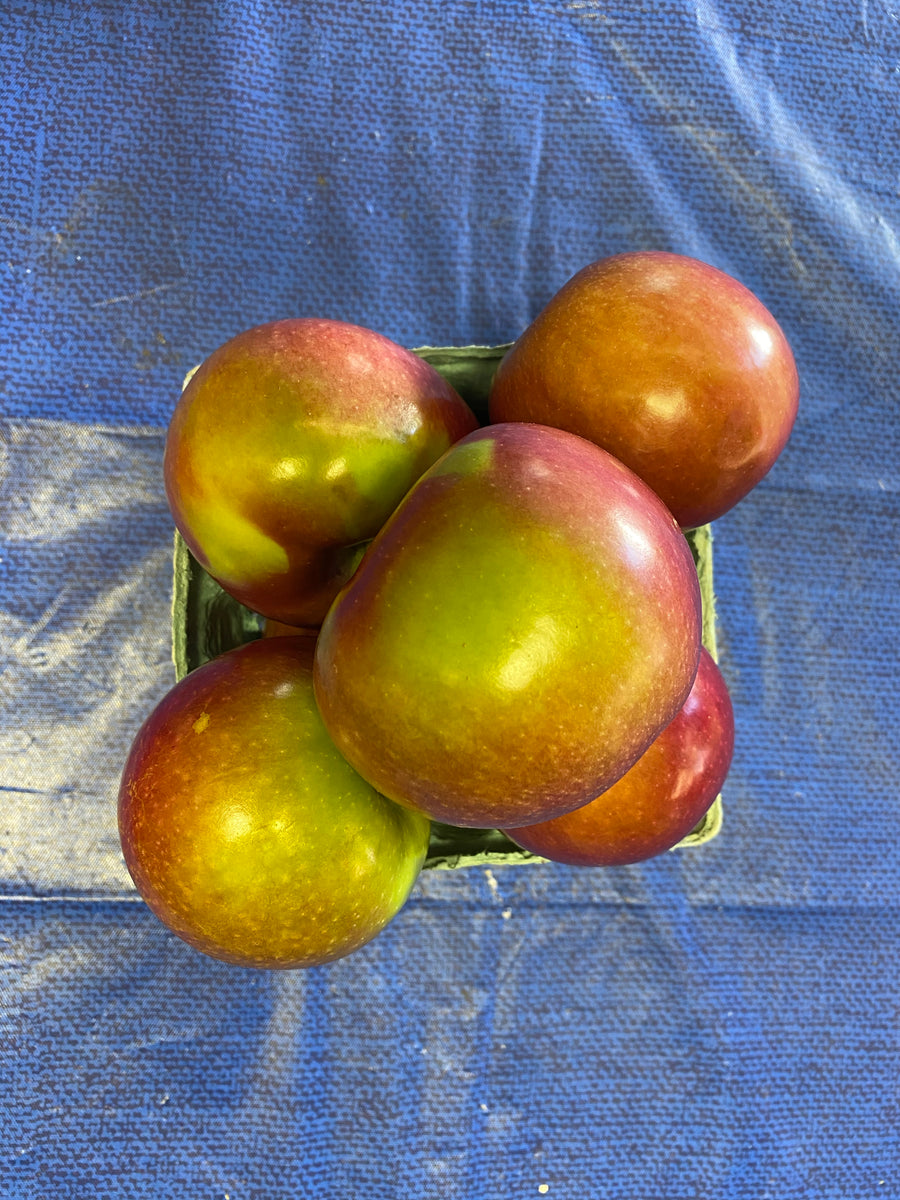 MacIntosh Apples 1 quart – Lyons Fruit Farm and Market