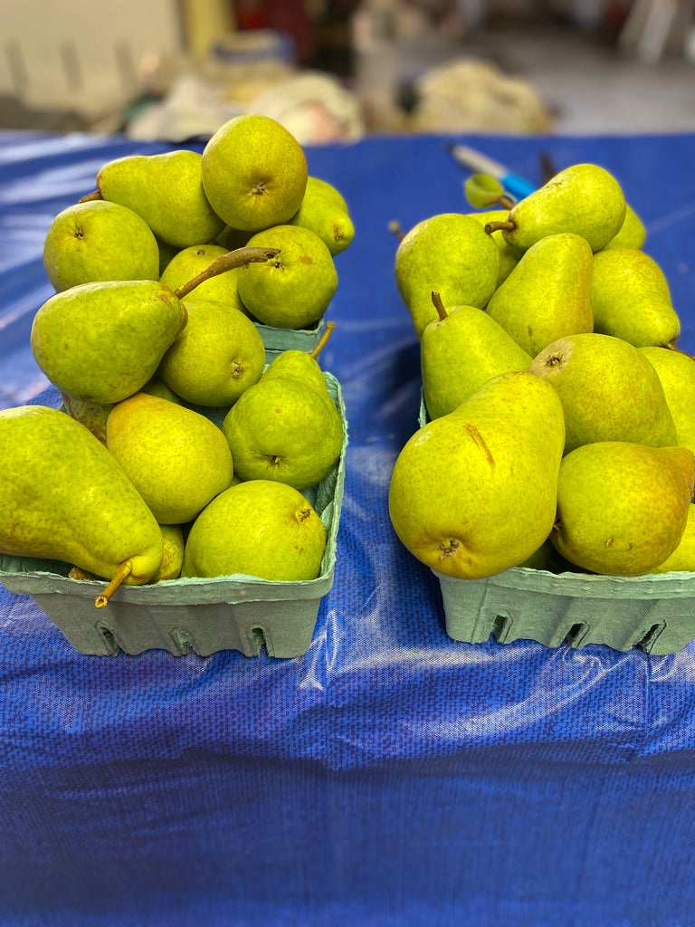 Bosc Pears 1 quart – Lyons Fruit Farm and Market